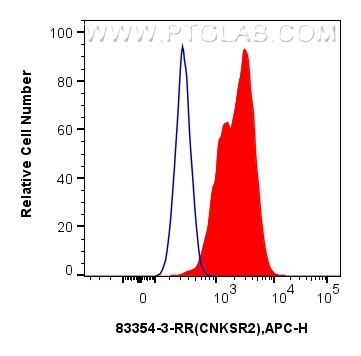Flow cytometry (FC) experiment of Jurkat cells using CNKSR2 Recombinant antibody (83354-3-RR)