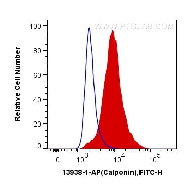 Flow cytometry (FC) experiment of C2C12 cells using Calponin Polyclonal antibody (13938-1-AP)