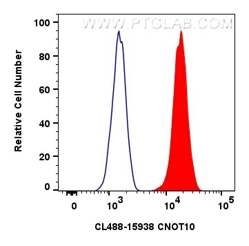 CNOT10