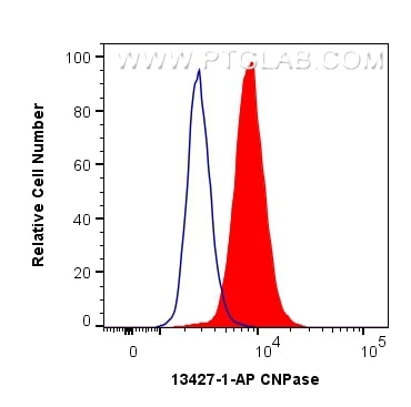 Flow cytometry (FC) experiment of HepG2 cells using CNPase Polyclonal antibody (13427-1-AP)