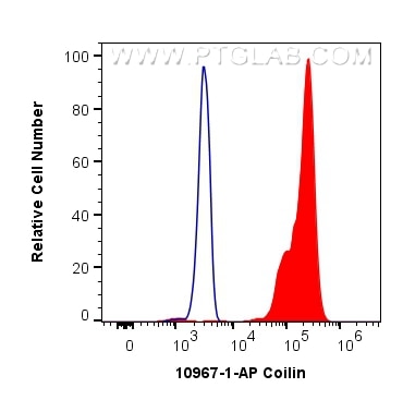 Flow cytometry (FC) experiment of HEK-293 cells using Coilin Polyclonal antibody (10967-1-AP)