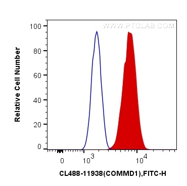 Flow cytometry (FC) experiment of HepG2 cells using CoraLite® Plus 488-conjugated COMMD1 Polyclonal an (CL488-11938)