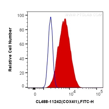 Flow cytometry (FC) experiment of HeLa cells using CoraLite® Plus 488-conjugated COXIV Polyclonal ant (CL488-11242)