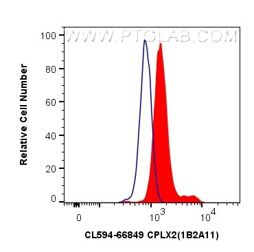 Flow cytometry (FC) experiment of SH-SY5Y cells using CoraLite®594-conjugated CPLX2 Monoclonal antibody (CL594-66849)
