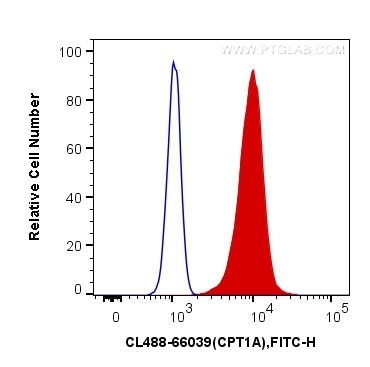Flow cytometry (FC) experiment of HeLa cells using CoraLite® Plus 488-conjugated CPT1A Monoclonal ant (CL488-66039)