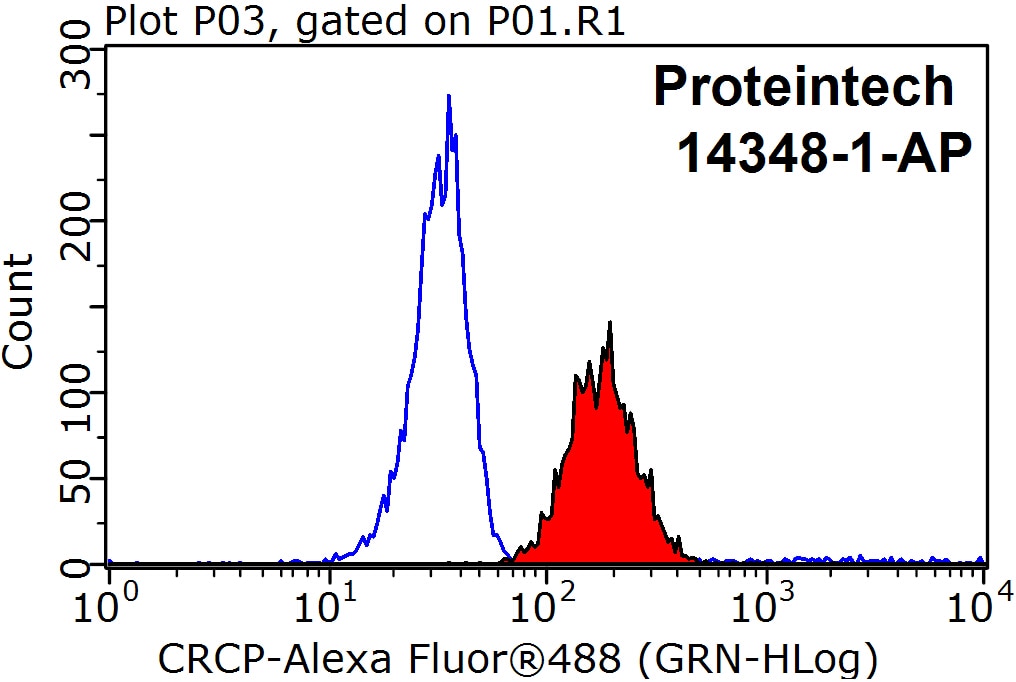 Flow cytometry (FC) experiment of Raji cells using CRCP Polyclonal antibody (14348-1-AP)
