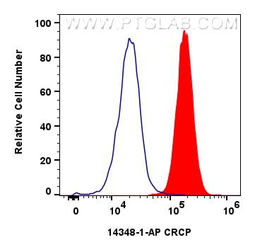 Flow cytometry (FC) experiment of Raji cells using CRCP Polyclonal antibody (14348-1-AP)