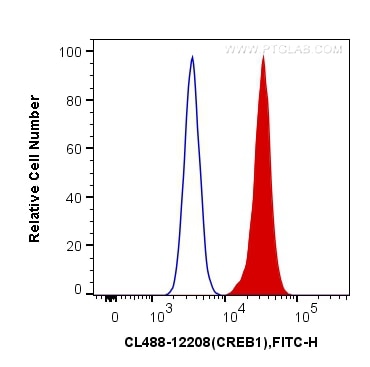 Flow cytometry (FC) experiment of HeLa cells using CoraLite® Plus 488-conjugated CREB1 Polyclonal ant (CL488-12208)