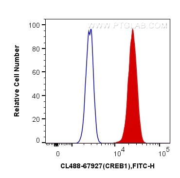 Flow cytometry (FC) experiment of HeLa cells using CoraLite® Plus 488-conjugated CREB1 Monoclonal ant (CL488-67927)