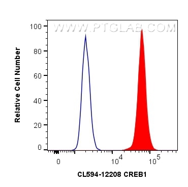Flow cytometry (FC) experiment of HeLa cells using CoraLite®594-conjugated CREB1 Polyclonal antibody (CL594-12208)