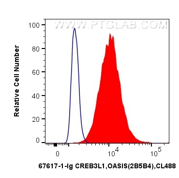Flow cytometry (FC) experiment of HepG2 cells using CREB3L1,OASIS Monoclonal antibody (67617-1-Ig)