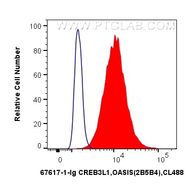 Flow cytometry (FC) experiment of HepG2 cells using CREB3L1,OASIS Monoclonal antibody (67617-1-Ig)