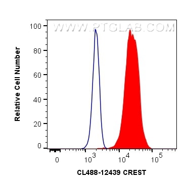 Flow cytometry (FC) experiment of HeLa cells using CoraLite® Plus 488-conjugated CREST Polyclonal ant (CL488-12439)