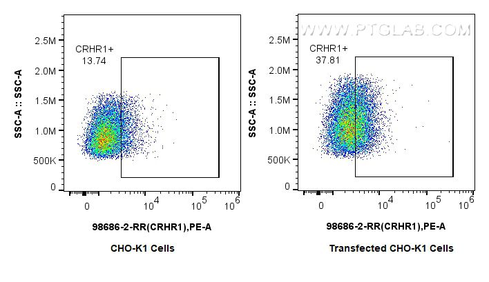 Flow cytometry (FC) experiment of Transfected CHO-K1 using Anti-Human CRHR1 Rabbit Recombinant Antibody (98686-2-RR)
