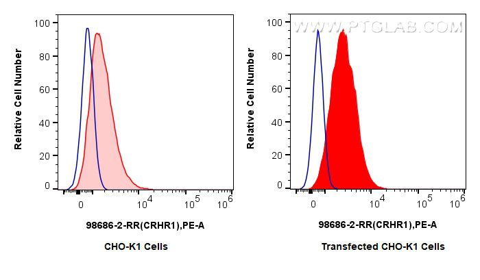 Flow cytometry (FC) experiment of Transfected CHO-K1 using Anti-Human CRHR1 Rabbit Recombinant Antibody (98686-2-RR)