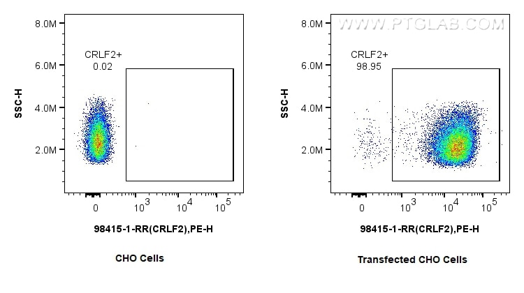 Flow cytometry (FC) experiment of Transfected CHO using Anti-Human CRLF2 Rabbit Recombinant Antibody (98415-1-RR)
