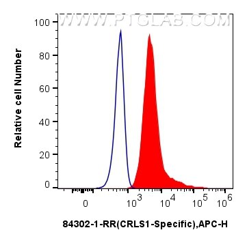 Flow cytometry (FC) experiment of HepG2 cells using CRLS1-Specific Recombinant antibody (84302-1-RR)