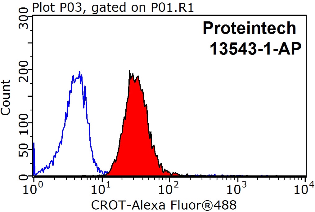 Flow cytometry (FC) experiment of HepG2 cells using CROT Polyclonal antibody (13543-1-AP)
