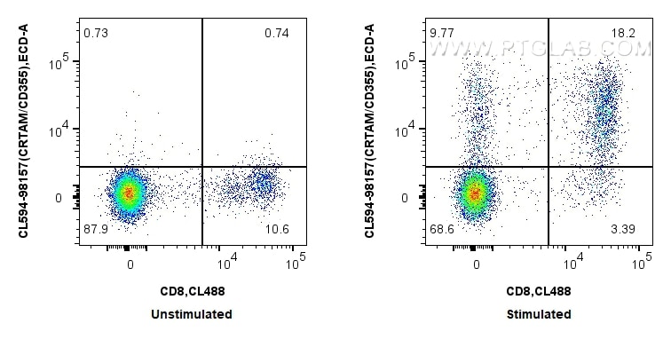 1x10^6 untreated or PMA and ionomycin treated human PBMCs were surface stained with CoraLite® Plus 488 Anti-Human CD8 and 5 ul CoraLite®594 Anti-Human CRTAM/CD355 Rabbit RecAb (CL594-98157, Clone: 241280B12). Cells were not fixed. Flow cytometry (FC) experiment of human PBMCs using CoraLite®594 Anti-Human CRTAM/CD355 Rabbit Recombi (CL594-98157)