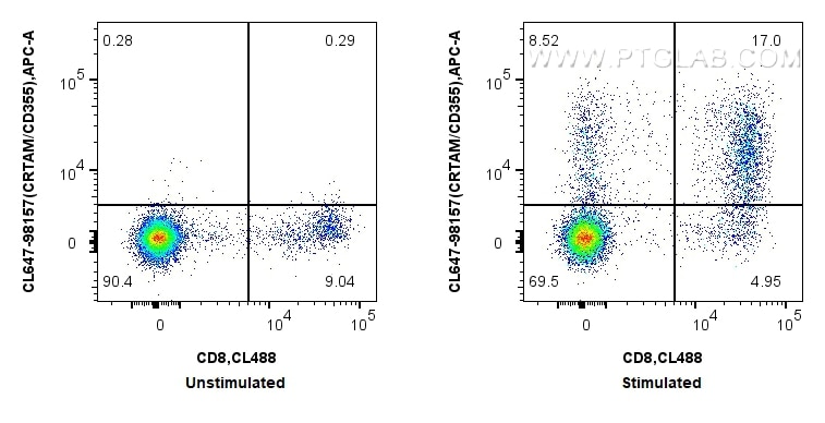 1x10^6 untreated or PMA and ionomycin treated human PBMCs were surface stained with CoraLite® Plus 488 Anti-Human CD8 and 5 ul CoraLite® Plus 647 Anti-Human CRTAM/CD355 Rabbit RecAb (CL647-98157, Clone: 241280B12). Cells were not fixed. Flow cytometry (FC) experiment of human PBMCs using CoraLite® Plus 647 Anti-Human CRTAM/CD355 Rabbit R (CL647-98157)