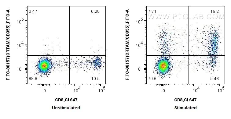 1x10^6 untreated or PMA and ionomycin treated human PBMCs were surface stained with CoraLite® Plus 647 Anti-Human CD8 and 5 ul FITC Plus Anti-Human CRTAM/CD355 Rabbit RecAb (FITC-98157, Clone: 241280B12). Cells were not fixed. Flow cytometry (FC) experiment of human PBMCs using FITC Plus Anti-Human CRTAM/CD355 Rabbit Recombinan (FITC-98157)