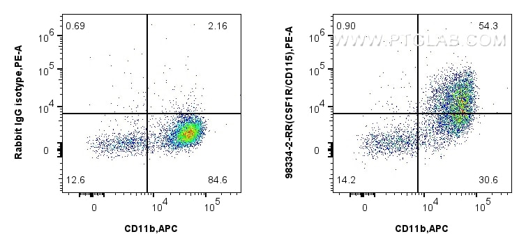 1x10^6 mouse peritoneal macrophages were surface stained with 0.25 ug Anti-Mouse CSF1R/CD115 Rabbit RecAb (98334-2-RR, Clone: 242213B1) or 0.25 ug Rabbit IgG Isotype Control RecAb (98136-1-RR, Clone: 240953C9), and PE-Conjugated Goat Anti-Rabbit IgG(H+L). Cells were co-stained with APC Anti-Mouse CD11b (M1/70) (APC-65055, Clone: M1/70). Cells were not fixed. Flow cytometry (FC) experiment of mouse peritoneal macrophages using Anti-Mouse CSF1R/CD115 Rabbit Recombinant Antibody (98334-2-RR)