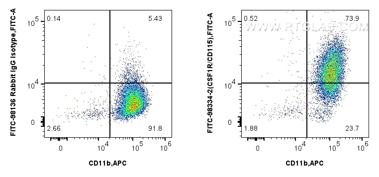 1x10^6 mouse peritoneal macrophages were surface stained with APC Anti-Mouse CD11b, and 0.25 ug FITC Plus Anti-Mouse CSF1R/CD115 Rabbit RecAb (FITC-98334-2, Clone: 242213B1) or FITC Plus Rabbit IgG Isotype Control RecAb (FITC-98136, Clone: 240953C9). Cells were incubated with FC Receptor Block prior to staining. Cells were not fixed. Flow cytometry (FC) experiment of mouse peritoneal macrophages using FITC Plus Anti-Mouse CSF1R/CD115 Rabbit Recombinan (FITC-98334-2)