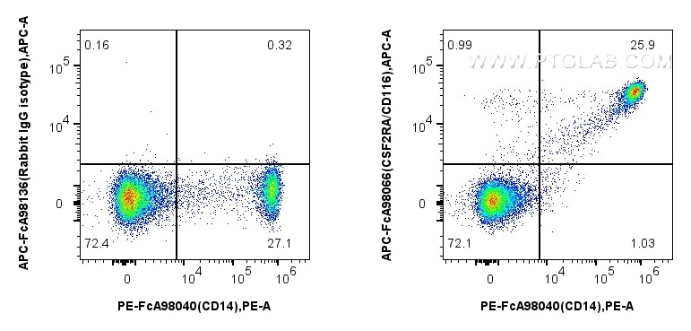CSF2RA/CD116