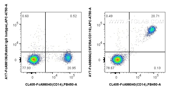 1x10^6 human PBMCs were surface stained with CoraLite® Plus 405 Anti-Human CD14, and 5 ul APC-Cyanine7 Anti-Human CSF2RA/CD116 Rabbit RecAb (AY7-FcA98066, Clone: 241266B11) or FcZero-rAb™ APC-Cyanine7 Rabbit IgG Isotype Control Recombinant Antibody (AY7-FcA98136, Clone: 240953C9). Cells were incubated with MonoZero™ Monocytes blocking prior to staining. Cells were not fixed. Flow cytometry (FC) experiment of human PBMCs using FcZero-rAb™ APC-Cyanine7 Anti-Human CSF2RA/CD116 R (AY7-FcA98066)