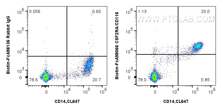 Flow cytometry (FC) experiment of human PBMCs using FcZero-rAb® Biotin Anti-Human CSF2RA/CD116 Rabbit  (Biotin-FcA98066)