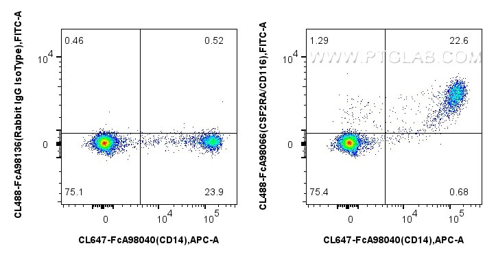 1x10^6 human PBMCs were surface stained with CoraLite® Plus 647 Anti-Human CD14, and 5 ul CoraLite® Plus 488 Anti-Human CSF2RA/CD116 Rabbit RecAb (CL488-FcA98066, Clone:241266B11) or Rabbit IgG Isotype Control RecAb (CL488-FcA98136, Clone: 240953C9). Cells were not fixed. Flow cytometry (FC) experiment of human PBMCs using FcZero-rAb™ CoraLite® Plus 488 Anti-Human CSF2RA/C (CL488-FcA98066)