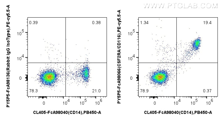 1x10^6 human PBMCs were surface stained with CoraLite® Plus 405 Anti-Human CD14, and 5 ul PE-Cyanine5.5 Anti-Human CSF2RA/CD116 Rabbit RecAb (PY5P5-FcA98066, Clone: 241266B11) or Rabbit IgG Isotype Control RecAb (PY5P5-FcA98136, Clone: 240953C9). Cells were not fixed. Flow cytometry (FC) experiment of human PBMCs using FcZero-rAb™ PE-Cyanine5.5 Anti-Human CSF2RA/CD116 (PY5P5-FcA98066)