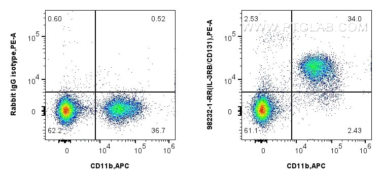 Flow cytometry (FC) experiment of mouse bone marrow cells using Anti-Mouse IL-3RB/CD131 Rabbit Recombinant Antibod (98232-1-RR)