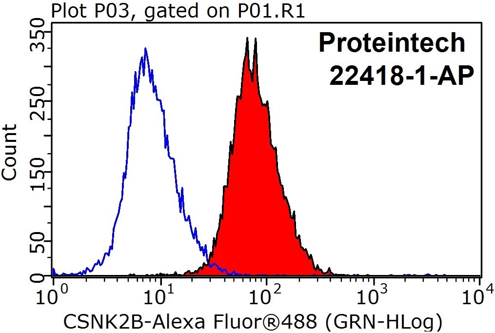 Flow cytometry (FC) experiment of HeLa cells using CSNK2B Polyclonal antibody (22418-1-AP)