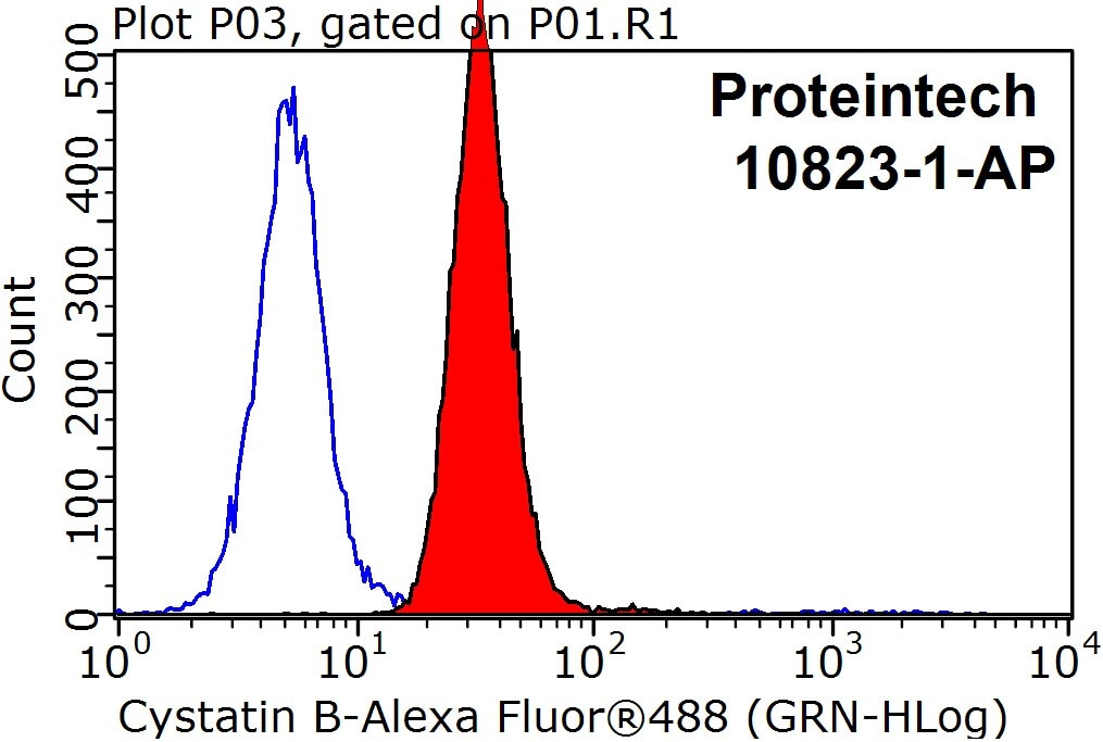 Flow cytometry (FC) experiment of HepG2 cells using Cystatin B Polyclonal antibody (10823-1-AP)