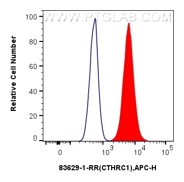 Flow cytometry (FC) experiment of A375 cells using CTHRC1 Recombinant antibody (83629-1-RR)