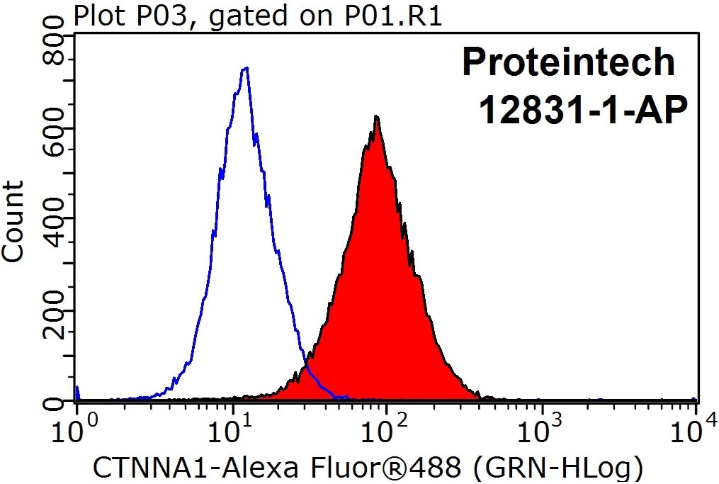 Flow cytometry (FC) experiment of MCF-7 cells using Alpha E-Catenin Polyclonal antibody (12831-1-AP)