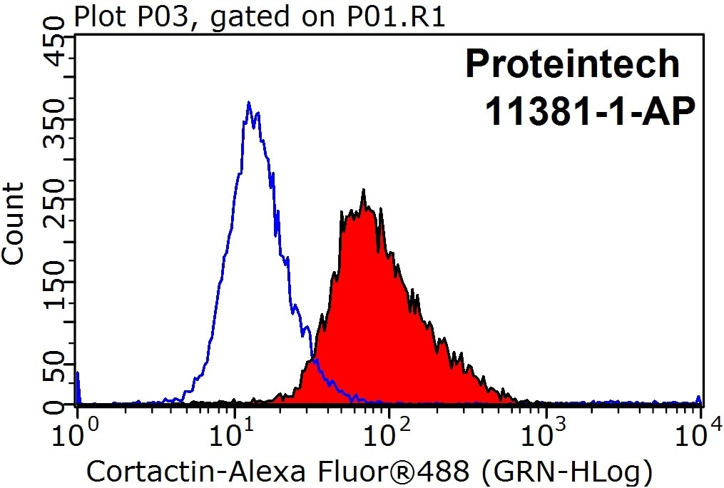 Flow cytometry (FC) experiment of HeLa cells using Cortactin Polyclonal antibody (11381-1-AP)