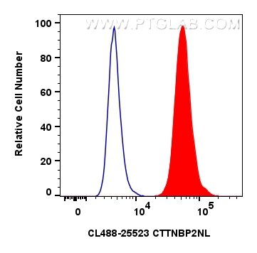 CTTNBP2NL