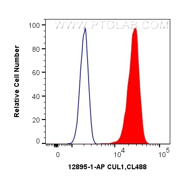 Flow cytometry (FC) experiment of HeLa cells using CUL1 Polyclonal antibody (12895-1-AP)