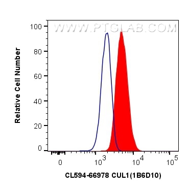 Flow cytometry (FC) experiment of HEK-293 cells using CoraLite®594-conjugated CUL1 Monoclonal antibody (CL594-66978)