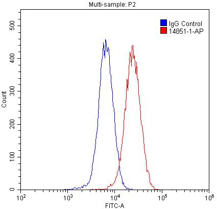 CUL4A-Specific