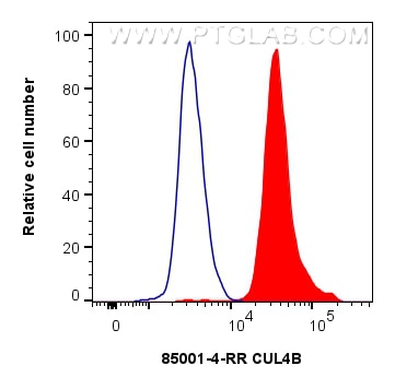 Flow cytometry (FC) experiment of HeLa cells using CUL4B Recombinant antibody (85001-4-RR)
