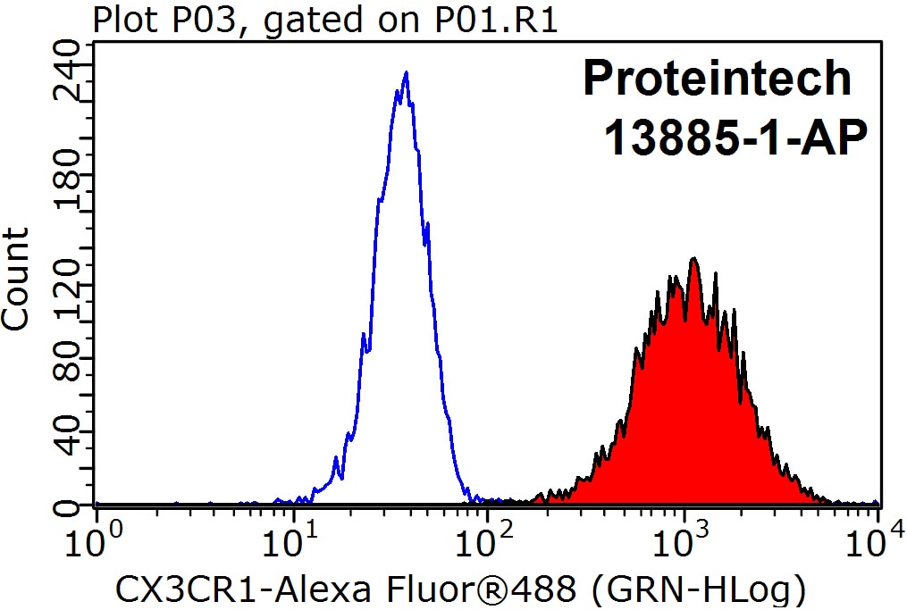 Flow cytometry (FC) experiment of K-562 cells using CX3CR1 Polyclonal antibody (13885-1-AP)