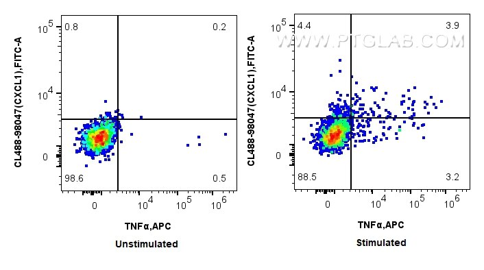 Flow cytometry (FC) experiment of mouse splenocytes using CoraLite® Plus 488 Anti-Mouse CXCL1 Rabbit Recombi (CL488-98047)
