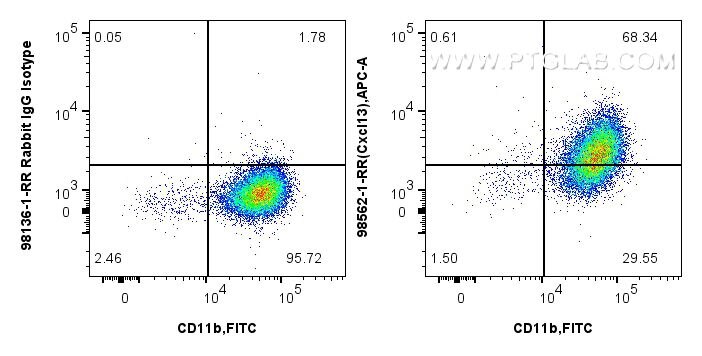 Flow cytometry (FC) experiment of mouse peritoneal macrophages using Anti-Mouse CXCL13/BCA1 Rabbit Recombinant Antibody (98562-1-RR)