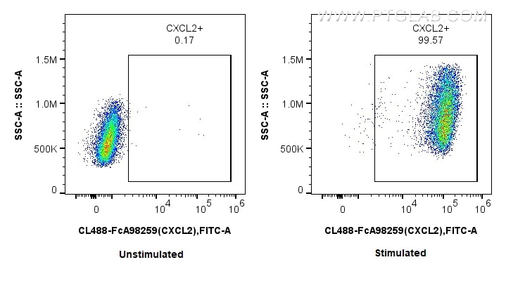 FC experiment of RAW 264.7 using CL488-FcA98259 Flow cytometry (FC) experiment of RAW 264.7 cells using FcZero-rAb® CoraLite® Plus 488 Anti-Mouse CXCL2 Ra (CL488-FcA98259)
