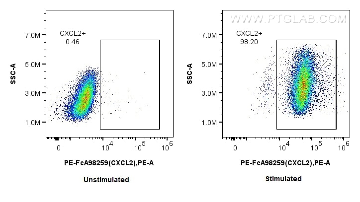 FC experiment of RAW 264.7 using PE-FcA98259 Flow cytometry (FC) experiment of RAW 264.7 cells using FcZero-rAb™ PE Anti-Mouse CXCL2 Rabbit Recombinant (PE-FcA98259)