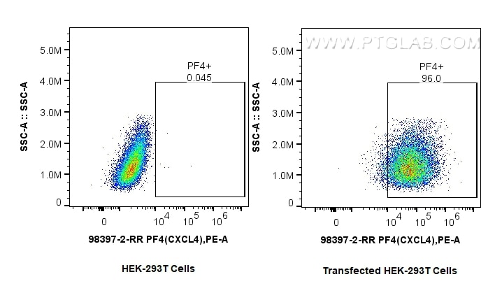 Flow cytometry (FC) experiment of Transfected HEK-293T cells using Anti-Mouse CXCL4/PF4 Rabbit Recombinant Antibody (98397-2-RR)