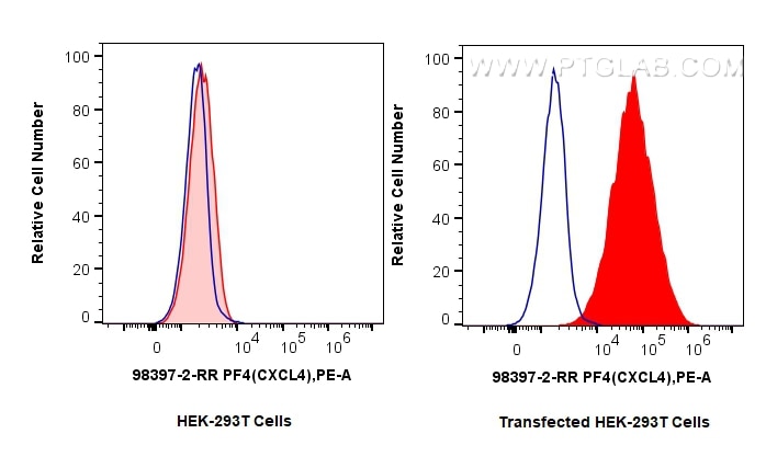 Flow cytometry (FC) experiment of Transfected HEK-293T cells using Anti-Mouse CXCL4/PF4 Rabbit Recombinant Antibody (98397-2-RR)